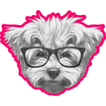 Maltese In Glasses Sticker