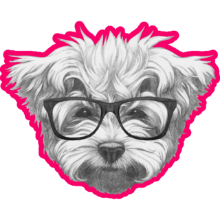 Maltese In Glasses Sticker