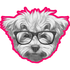 Maltese In Glasses Sticker