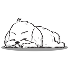 Maltese Laying Sticker