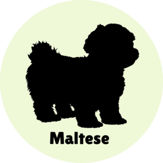 Maltese Lettering Sticker