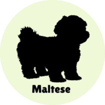 Maltese Lettering Sticker