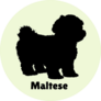 Maltese Lettering Sticker