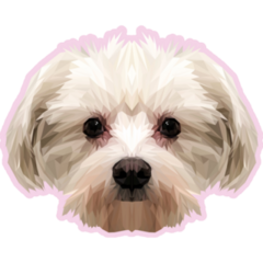 Maltese Low Poly Sticker