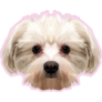 Maltese Low Poly Sticker