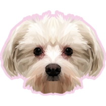 Maltese Low Poly Sticker