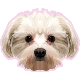 Maltese Low Poly Sticker