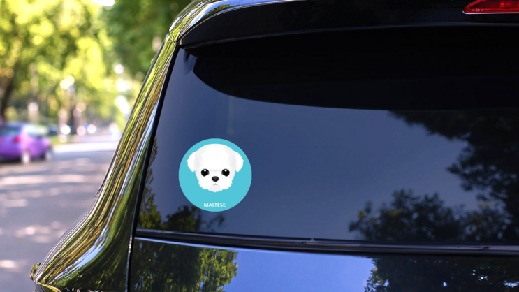 Maltese On Blue Sticker on a Rear Car Window (New) example