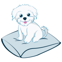 Maltese On Pillow Sticker