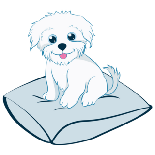 Maltese On Pillow Sticker