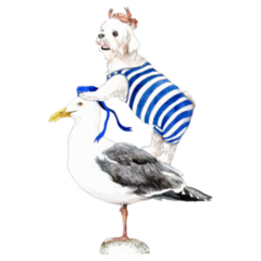 Maltese On Sea Gull Sticker.