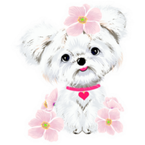 Maltese Pink Flowers Sticker