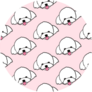 Maltese Poodle Cute Pink Sticker