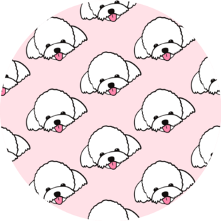 Maltese Poodle Cute Pink Sticker