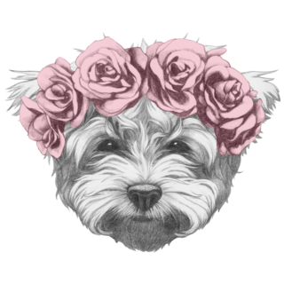 Maltese Poodle Floral Sticker
