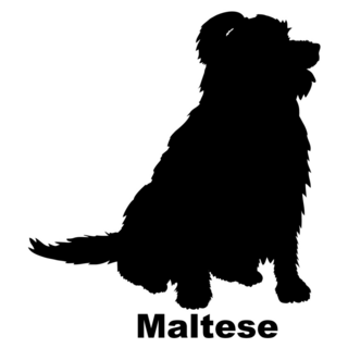 Maltese Silhouette Sticker
