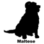 Maltese Silhouette Sticker