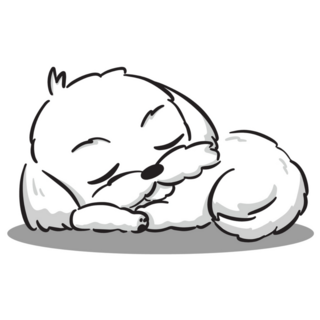 Maltese Sleeping Sticker