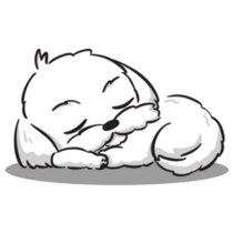 Maltese Sleeping Sticker