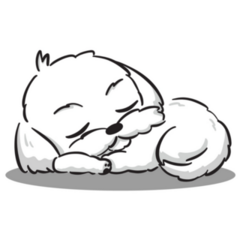 Maltese Sleeping Sticker