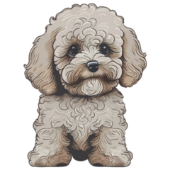 Maltipoo Multicolor Sticker