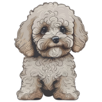 Maltipoo Multicolor Sticker