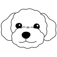 Maltipoo Smile Sticker