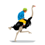 Man Riding Ostrich Sticker