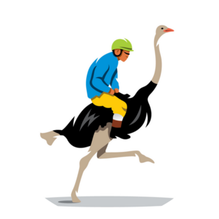Man Riding Ostrich Sticker