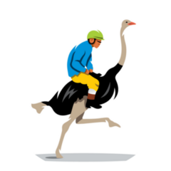 Man Riding Ostrich Sticker