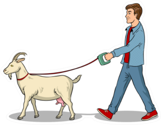 Man Walks With Goat On Leash Pop Art Sticker