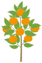 Mandarin Tree Sticker