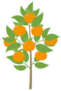 Mandarin Tree Sticker