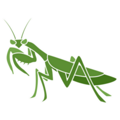Mantis Illustration In Green Sticker