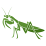 Mantis Illustration In Green Sticker