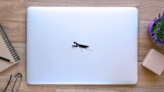 Mantis Religiosa Sticker on a Laptop (New) example