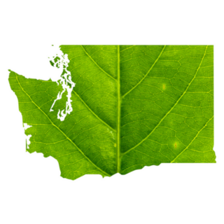 Map Of Washington Made Of Green Leaf Sticker