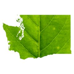 Map Of Washington Made Of Green Leaf Sticker