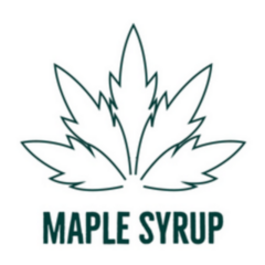 Maple Syrup Leaf Icon Illustration Sticker