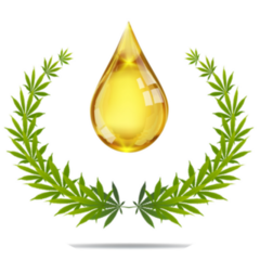 Marijuana And Cannabis Cbd Oil Drop Sticker