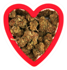 Marijuana Buds In A Heart Shaped Cookie Cutter Sticker