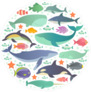 Marine Creatures Ocean Sticker