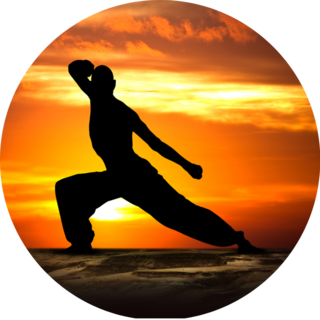 Martial Arts Fitness At Sunset Sticker