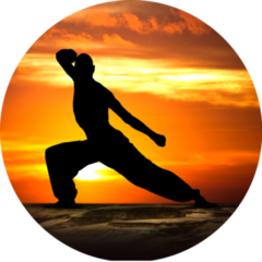 Martial Arts Fitness At Sunset Sticker