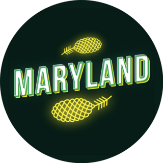 Maryland Neon Light Lettering Pineapple Sticker