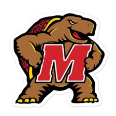 Maryland Terrapins NCAA Logo Sticker