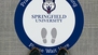 Mascot Branded University Floor Sticker