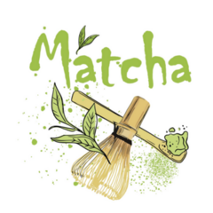 Matcha Green Tea Japanese Sticker
