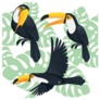 Mature Brazilian Toucan Bird Cartoon Sticker
