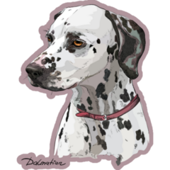 Mauve Dalmatian Sticker